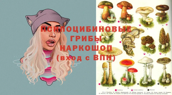 кристаллы Арсеньев
