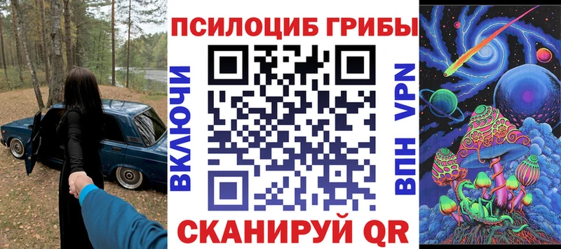 Купить  Губкинский  Псилоцибиновые грибы Cubensis 